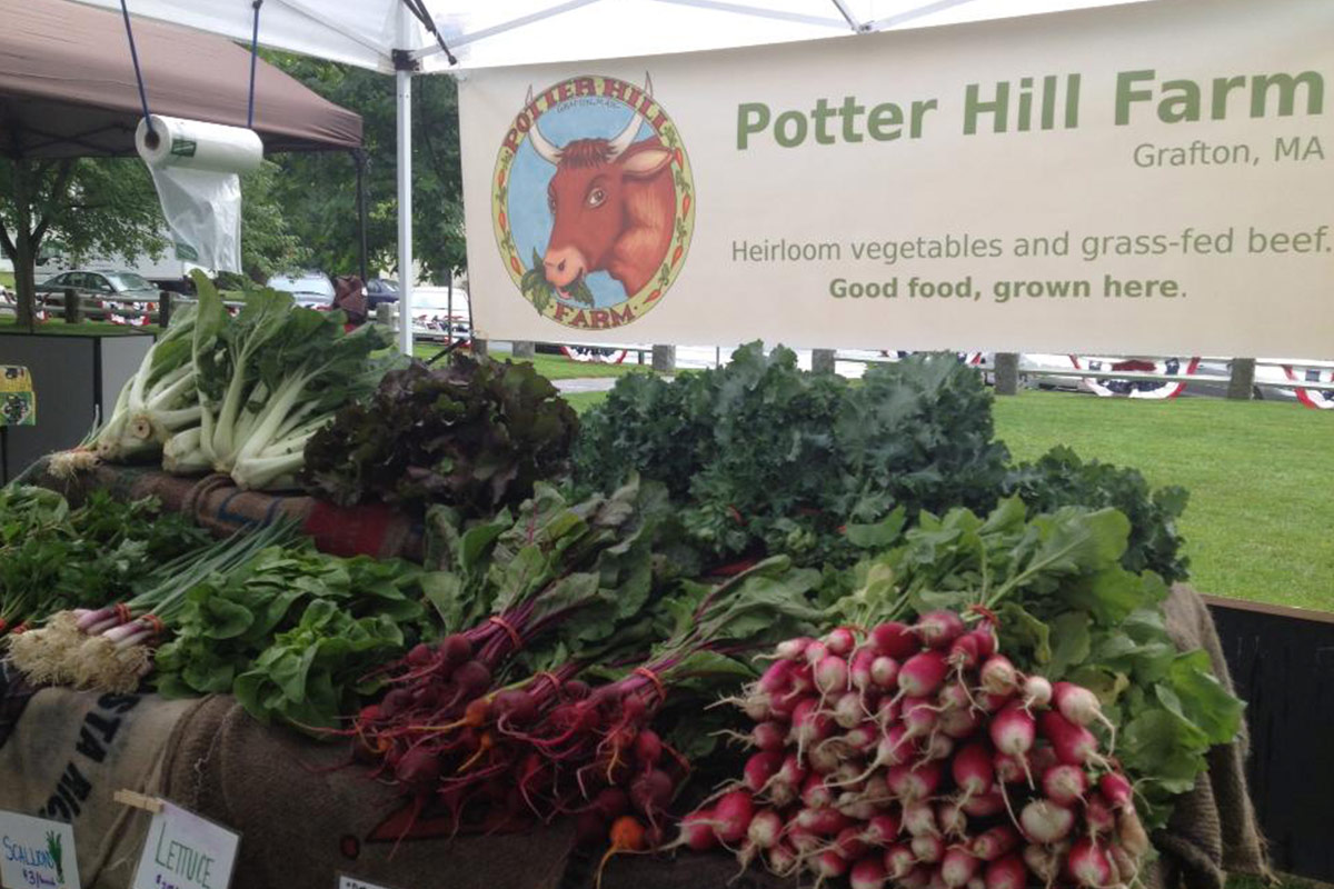 About Grafton, Massachusetts