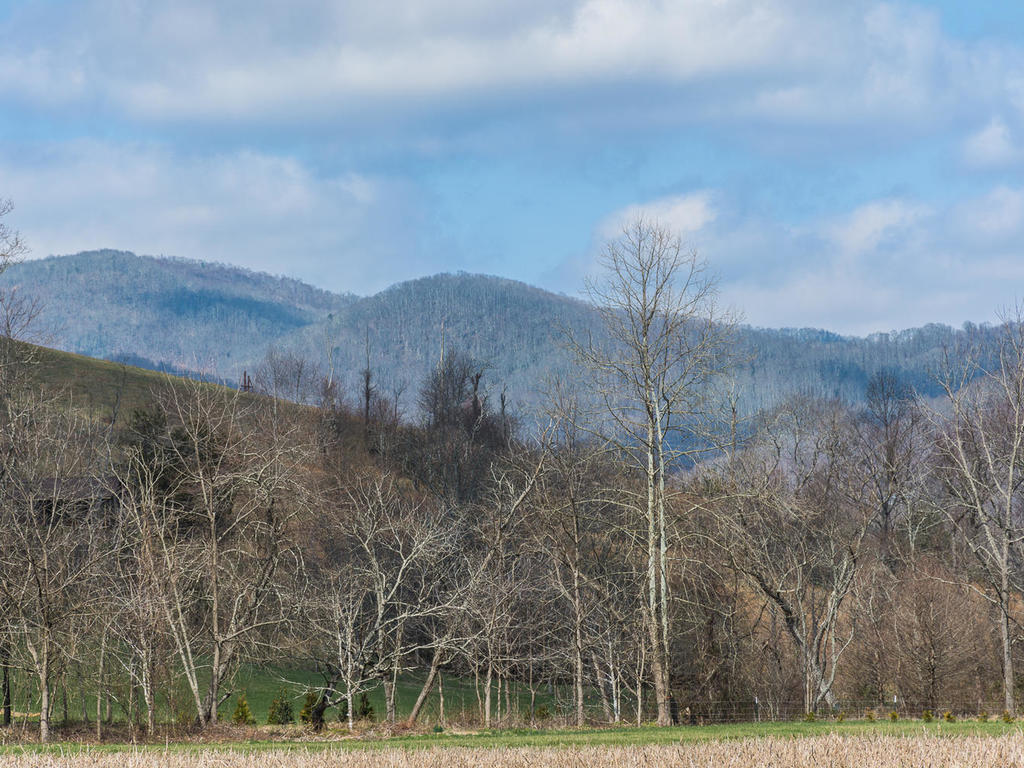 Asheville Mountain Views