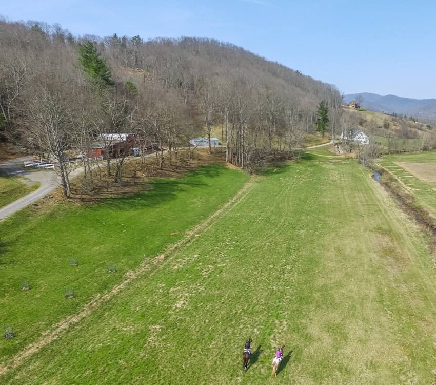 Asheville Real Estate Pasture Farm Equestrian