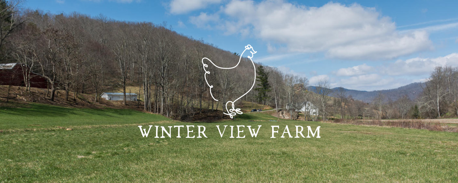 Winter View Farm
