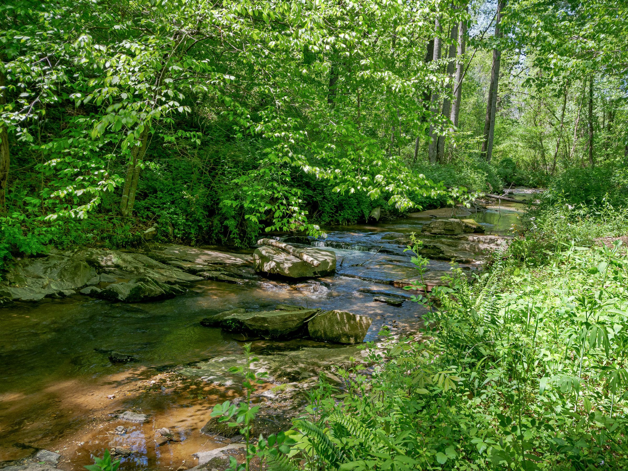 land with creek for sale