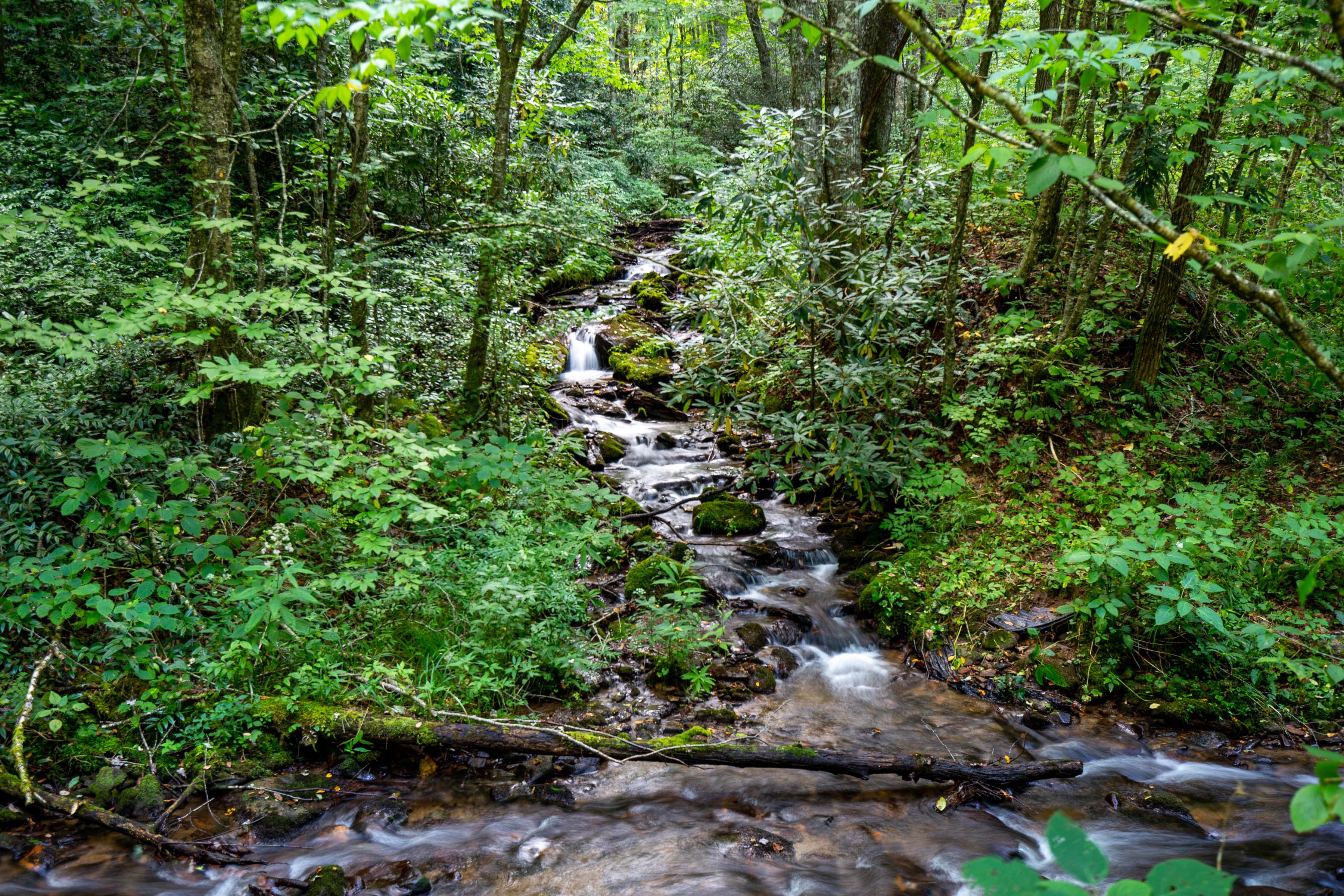 Balsam Mountain Preserve NC Dark Ridge Creek