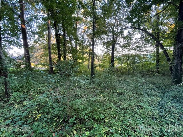 Excellent Residential Lots for Sale Hendersonville NC