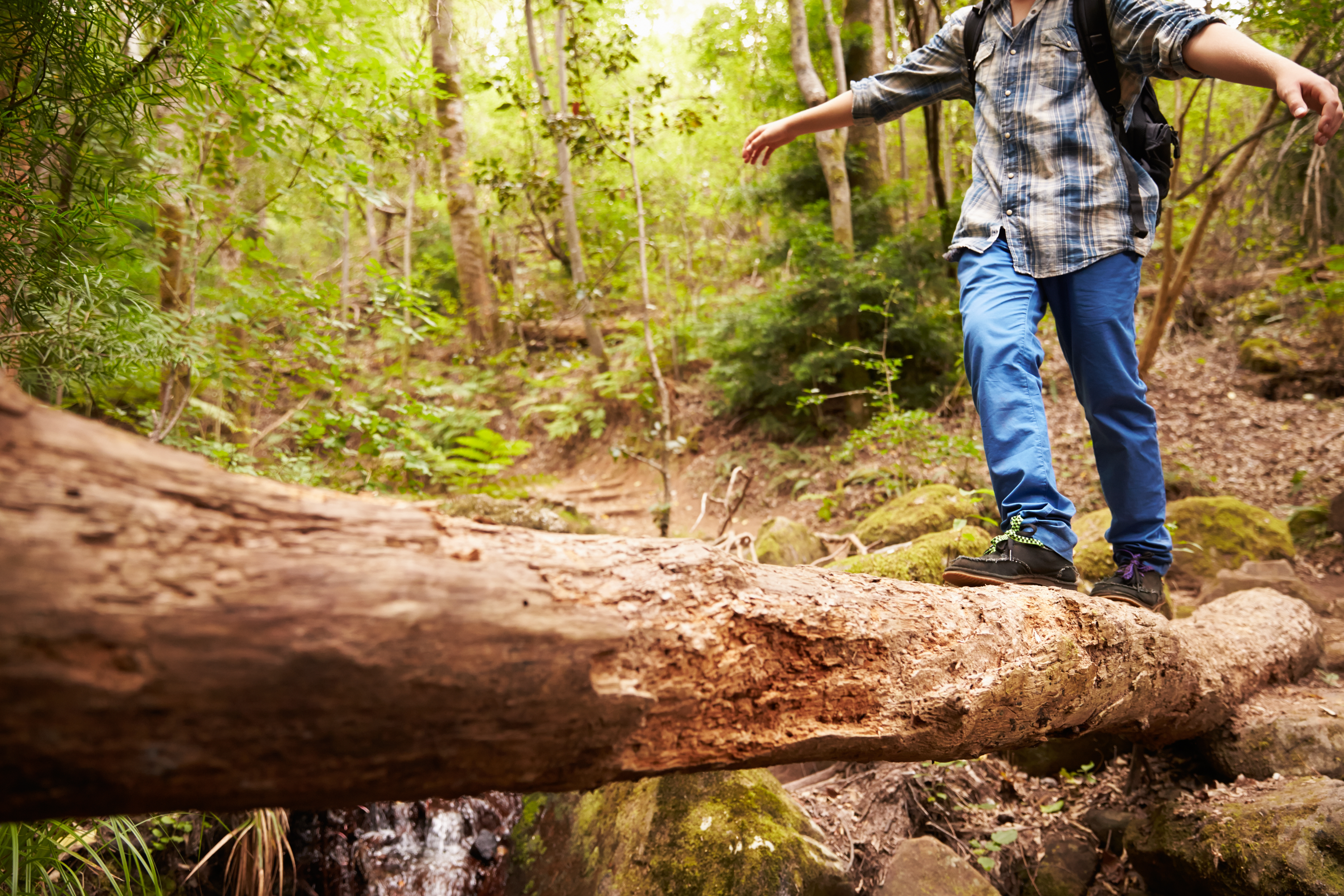 Best Hiking Trails Close to Asheville