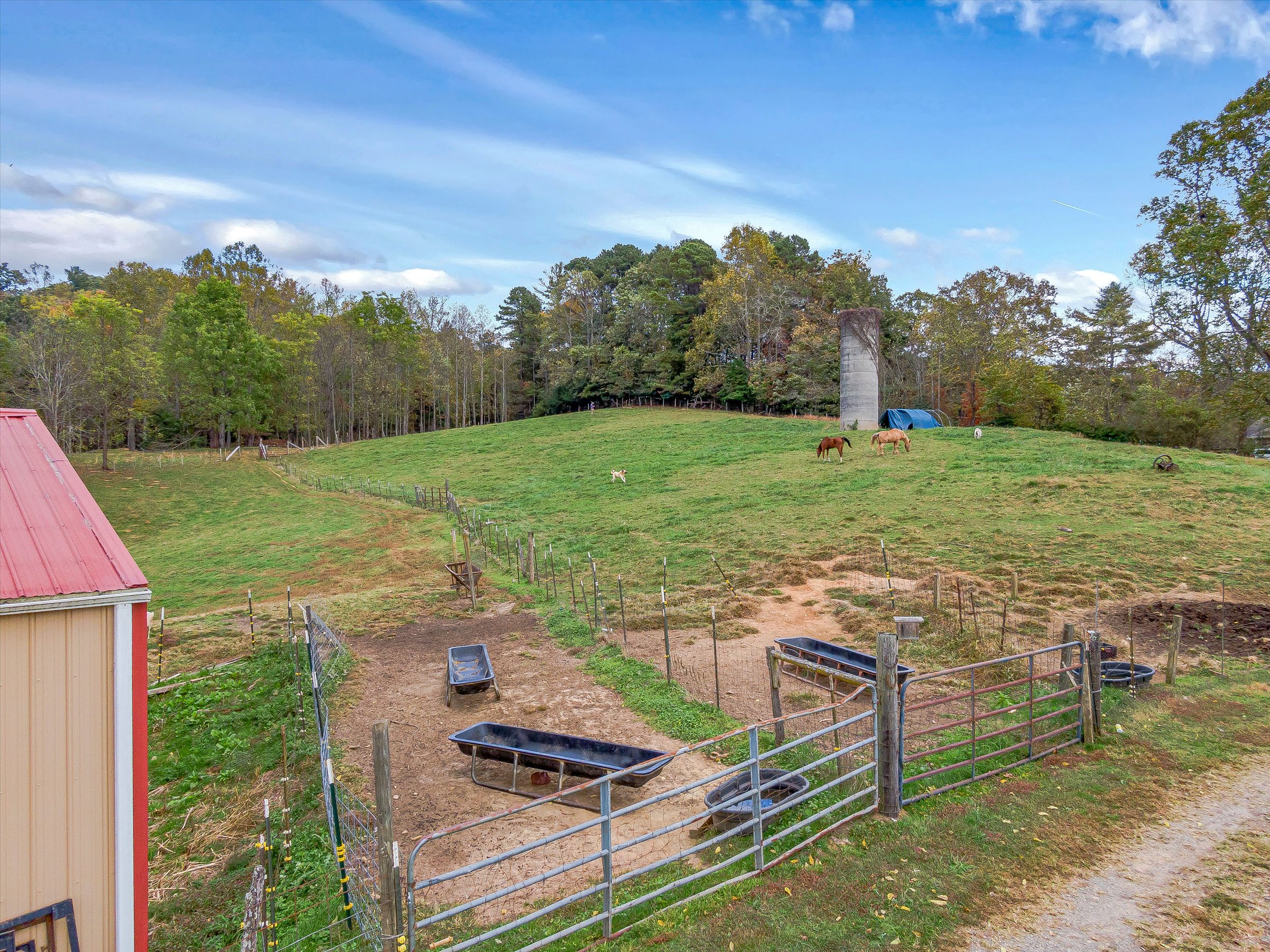 Mountain Farm for Sale Horse Shoe North Carolina