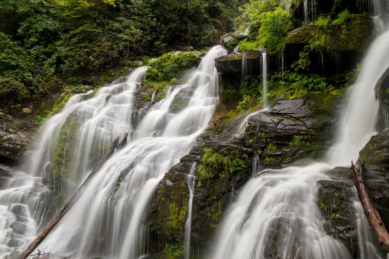 Best Hiking Trails Close to Asheville