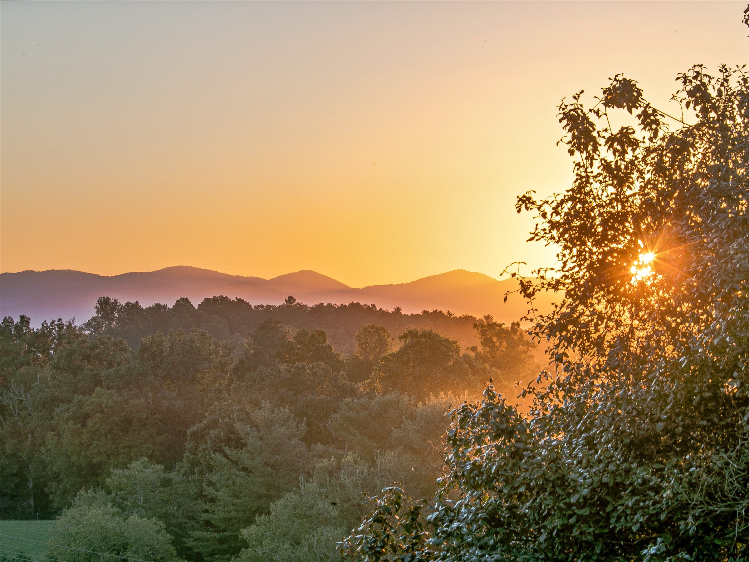 Weaverville Luxury Home Farm Land Acreage for Sale North Carolina