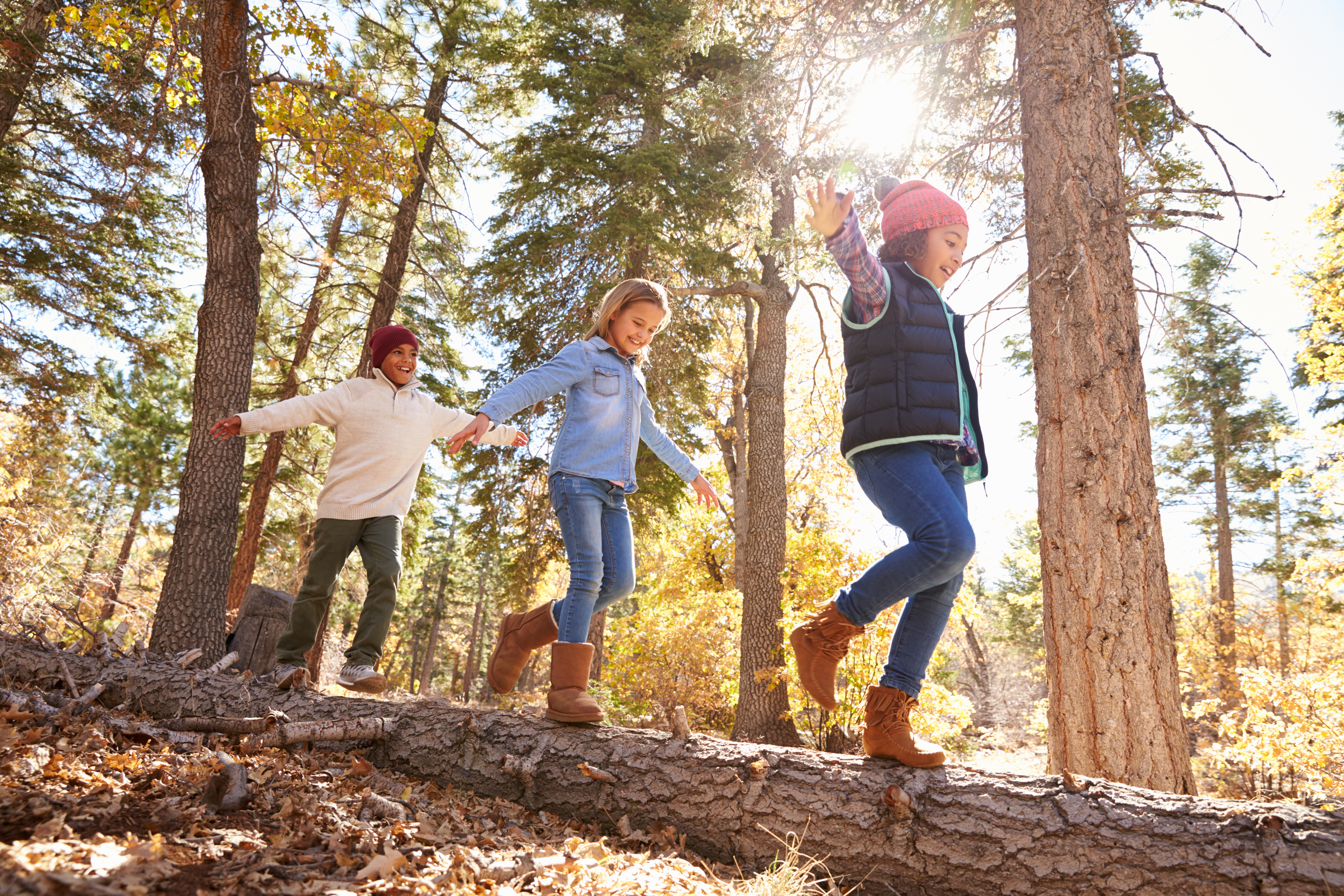 Best Hiking Trails Close to Asheville