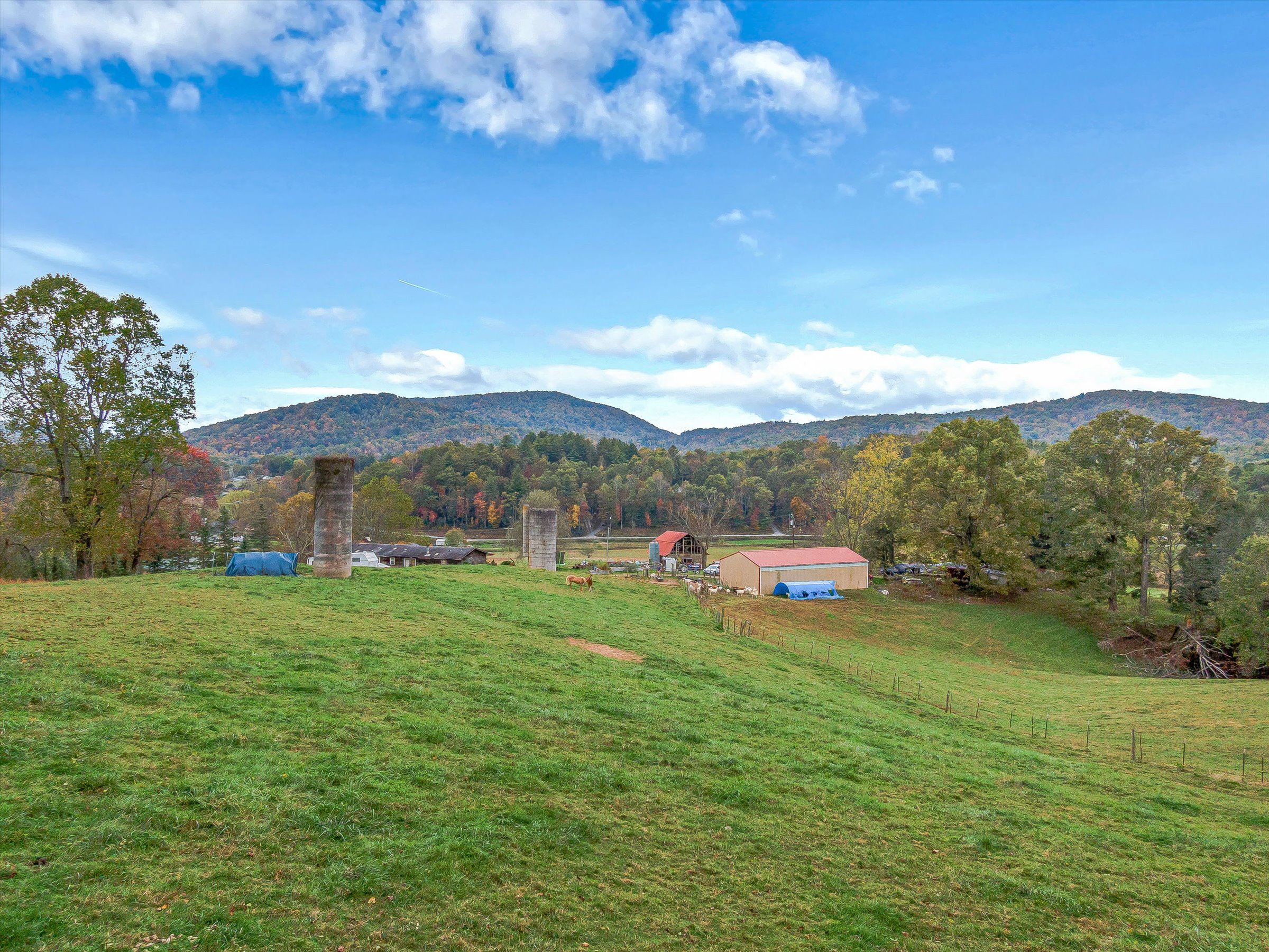 Mountain Farm for Sale Horse Shoe North Carolina