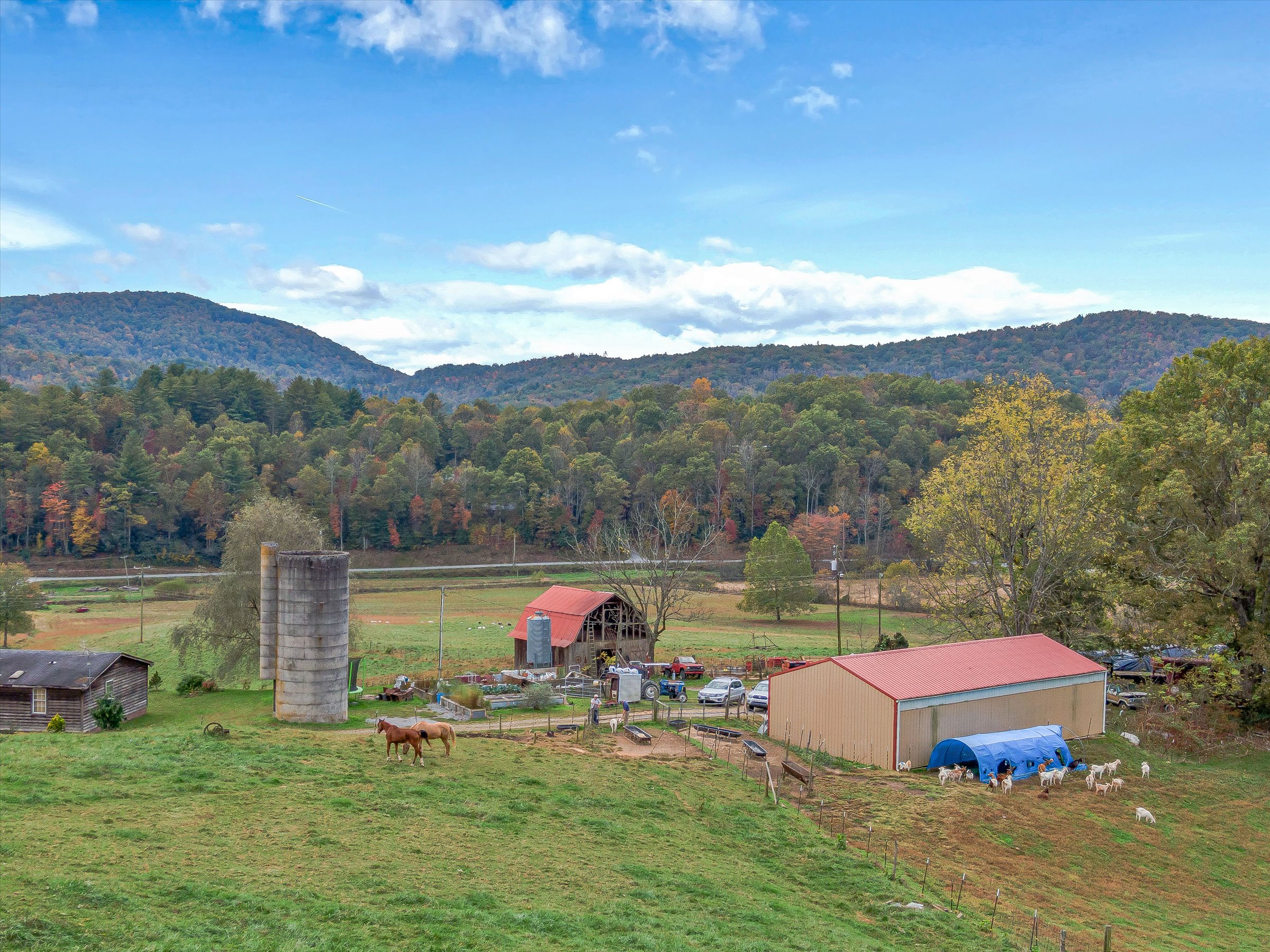 Mountain Farm for Sale Horse Shoe North Carolina