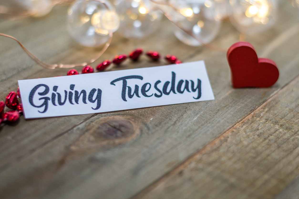 Giving Tuesday Asheville North Carolina Nonprofits Charities