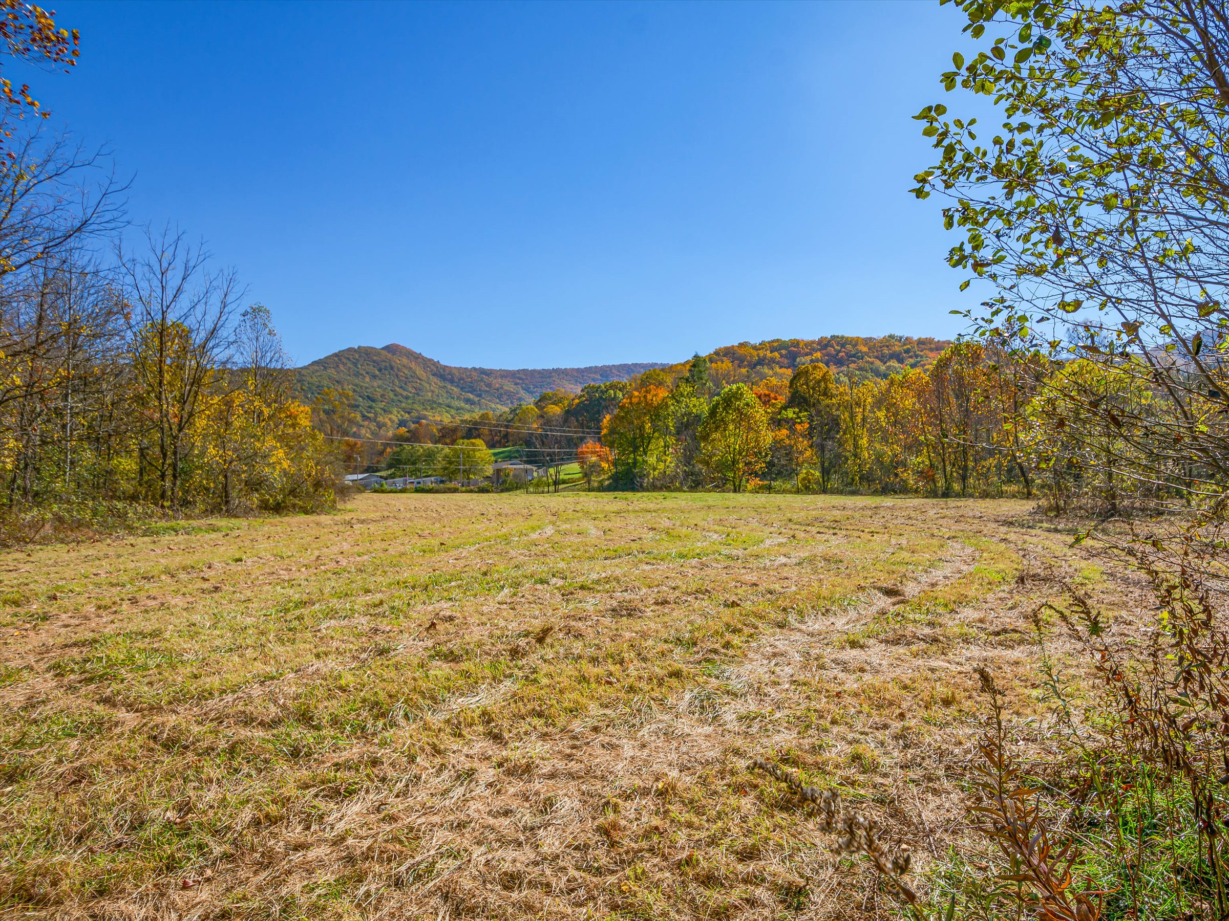 99999 Black Oak Cove Rd