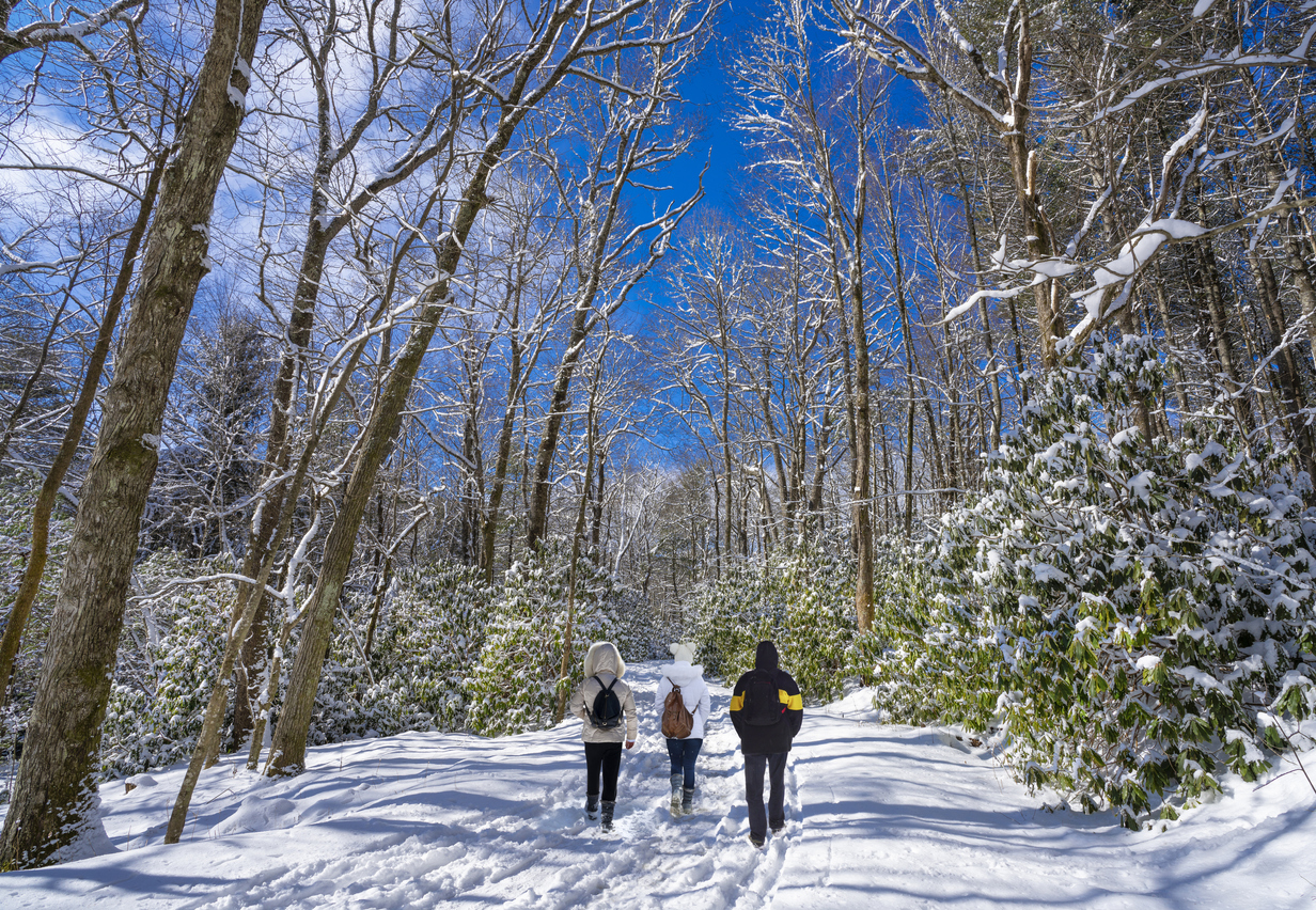 Winter Solstice Meaning and Things to Do with Kids Asheville Western North Carolina