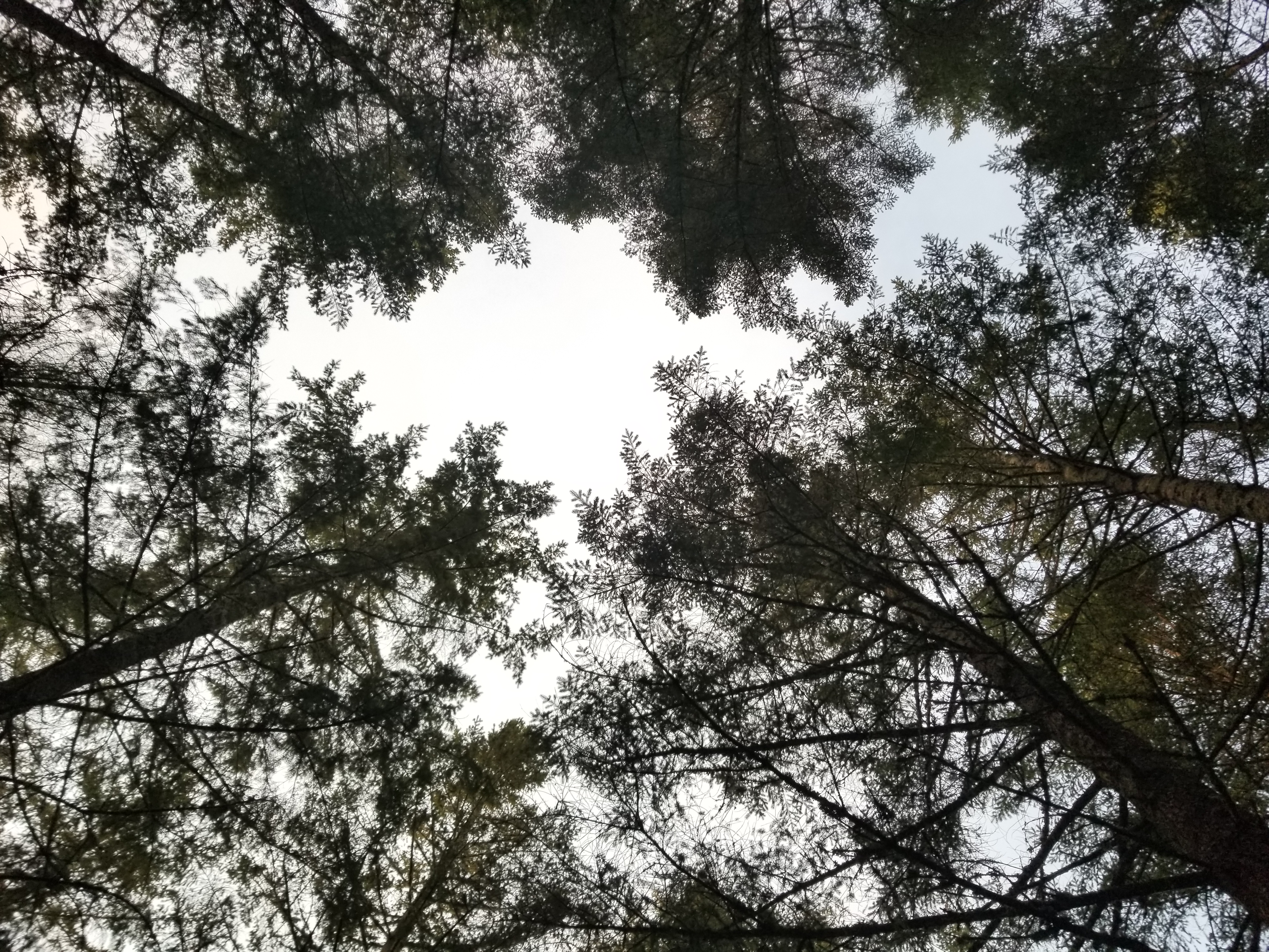 Cooper Mountain Nature Park