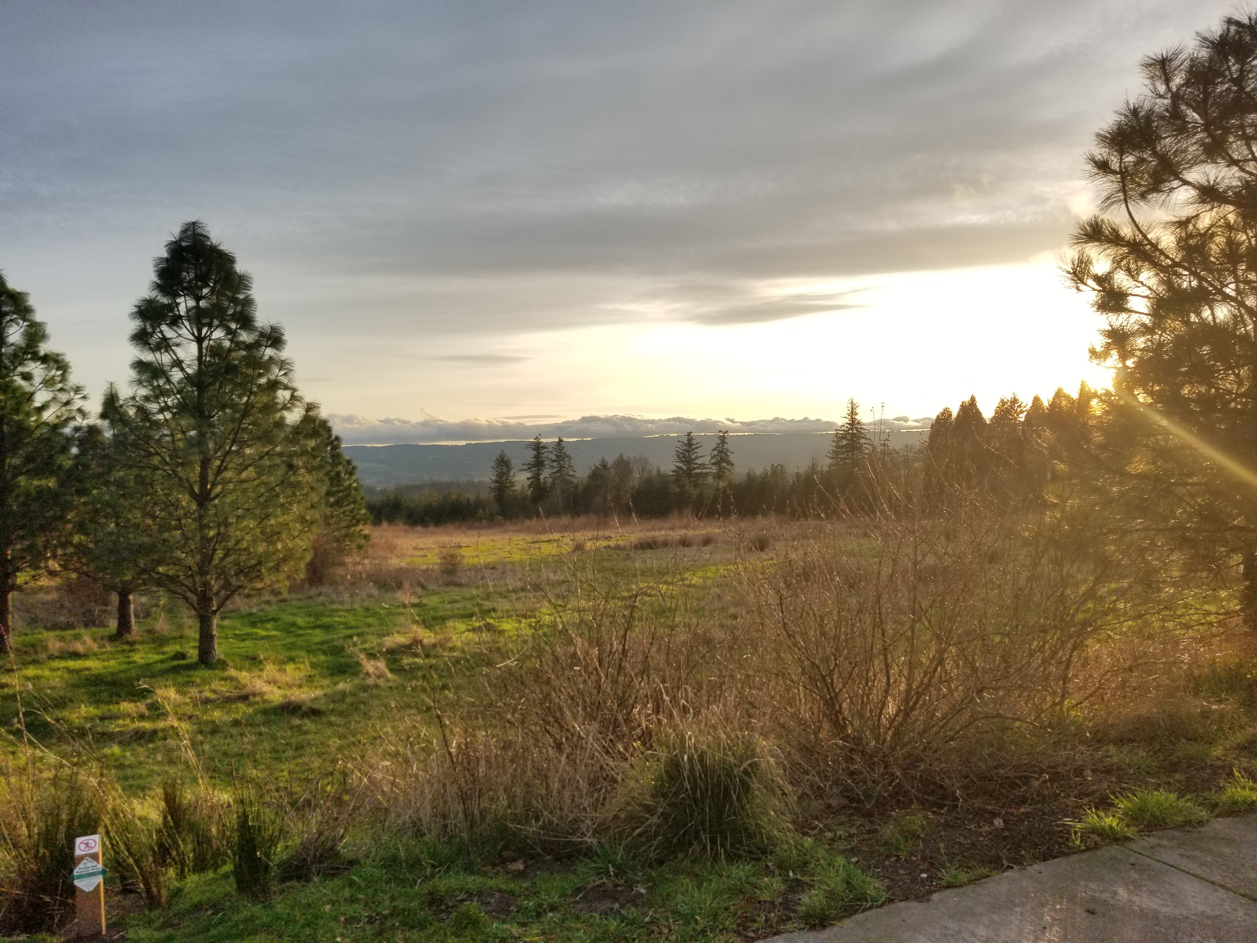 Cooper Mountain Nature Park