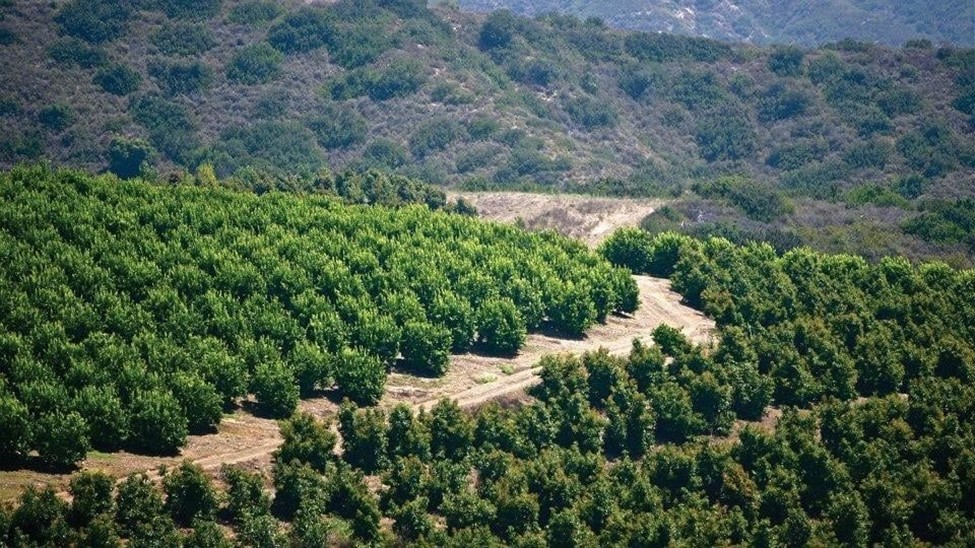Rancho Mission Viejo