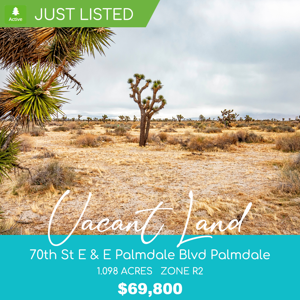 Palmdale Vacant Land - Just Listed
