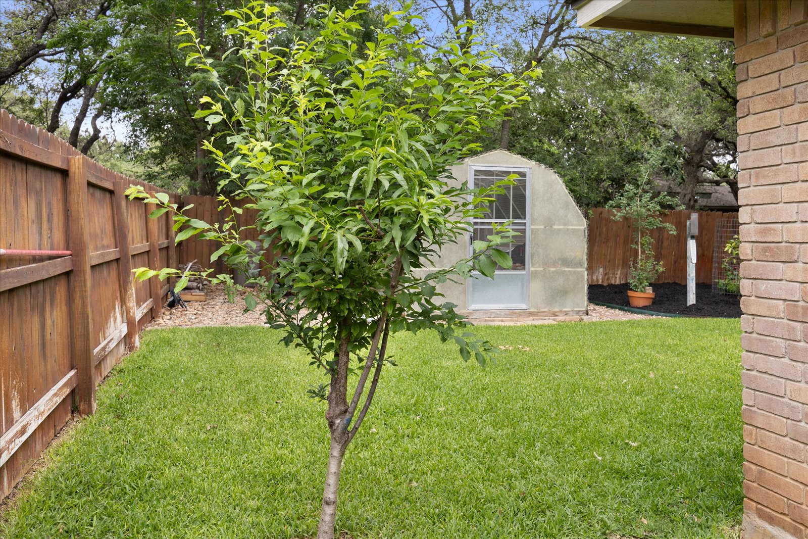 421 Skyforest Dr - Fruit Tree