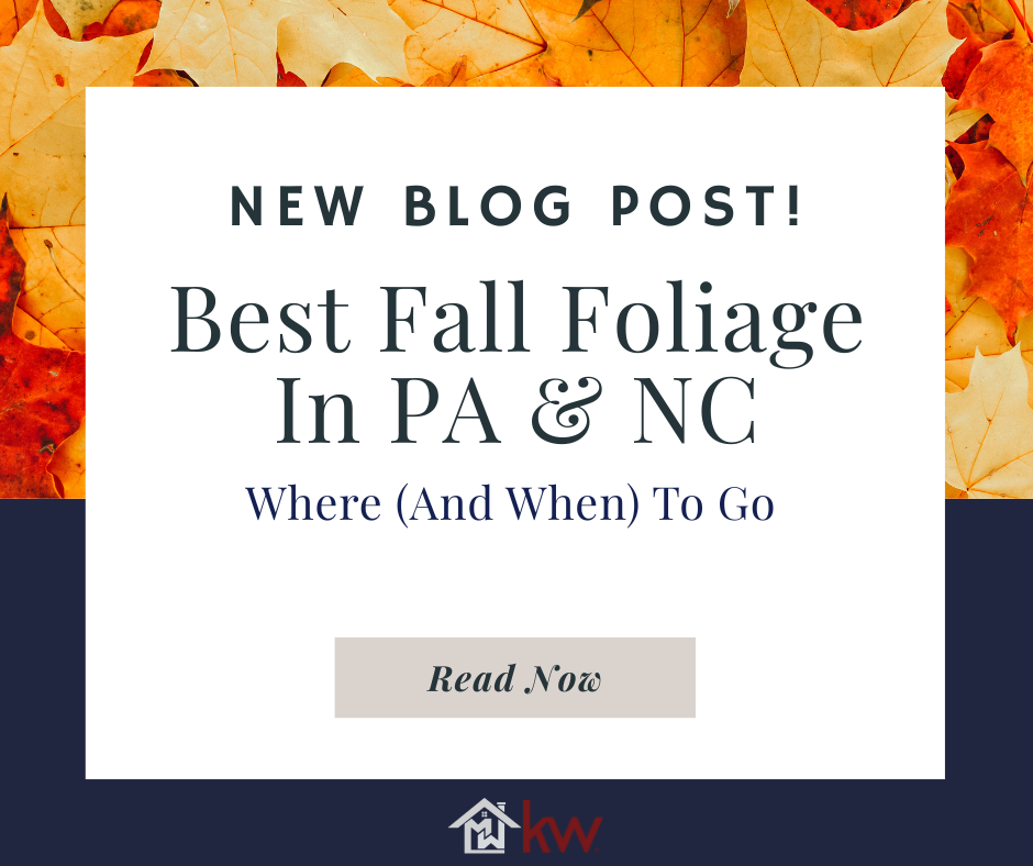Best Fall Foliage In PA & NC: Where (And When) To Go