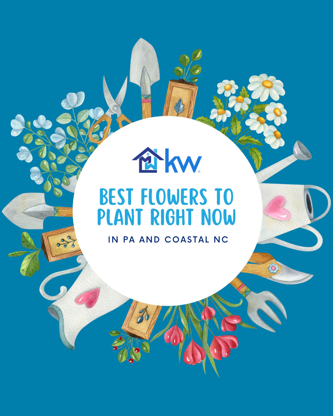 Best Flowers To Plant Right Now in Pa and Coastal NC