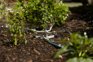 Home Landscaping for Unpredictable Weather