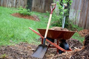 Keeping Your Landscaping Going in the Heat of Summer 