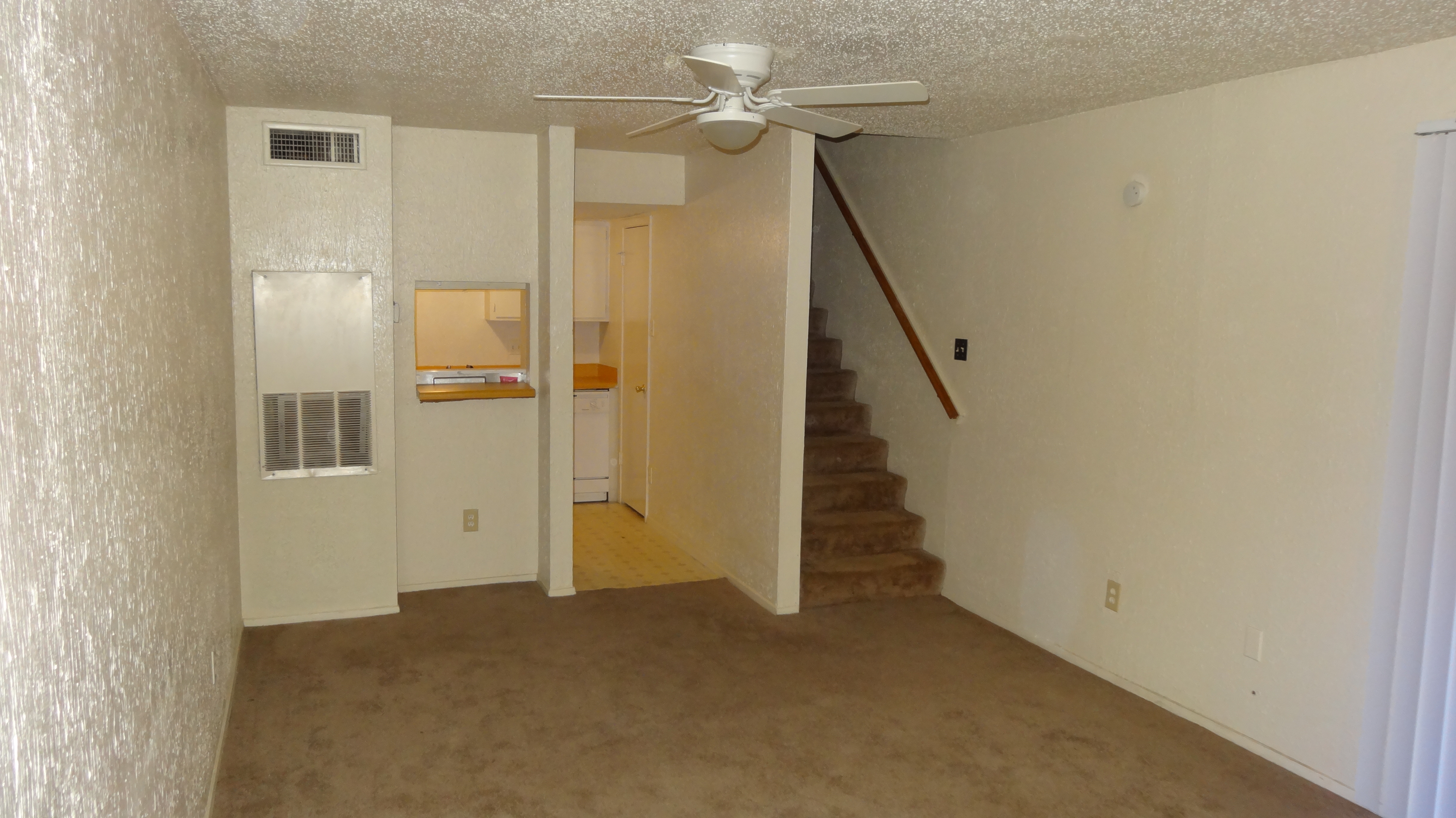 4407 Carter Creek