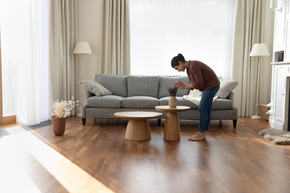 a women cleaning the house