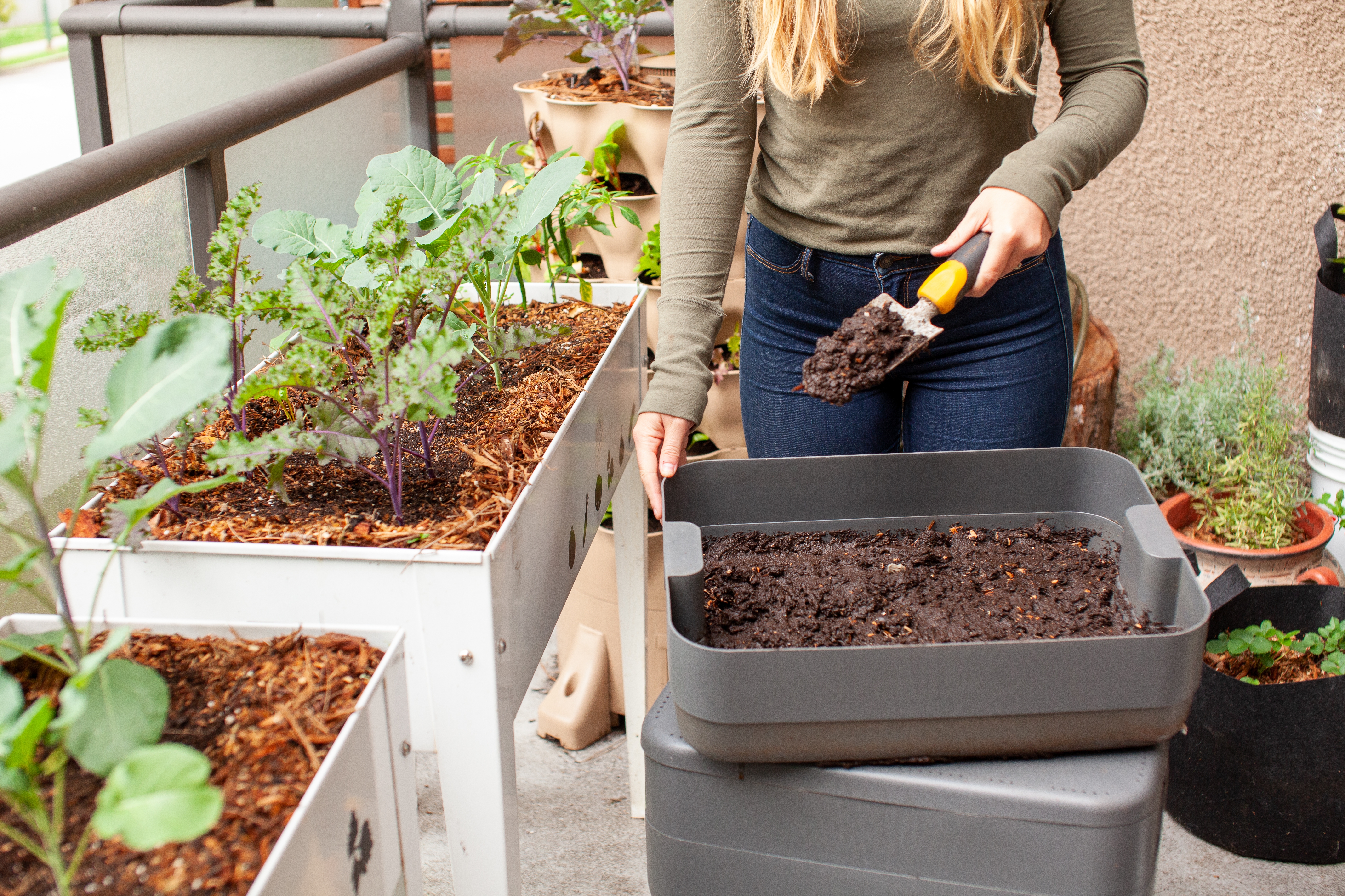 Understanding the Basics of Sustainable Gardening