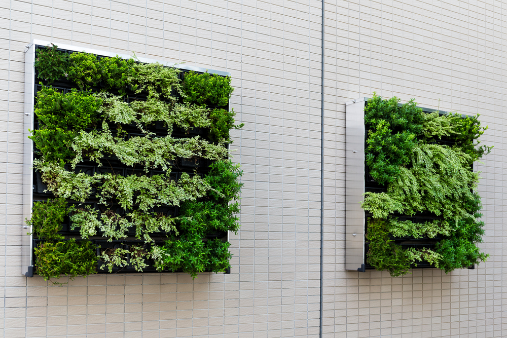 living wall in your Oregon home