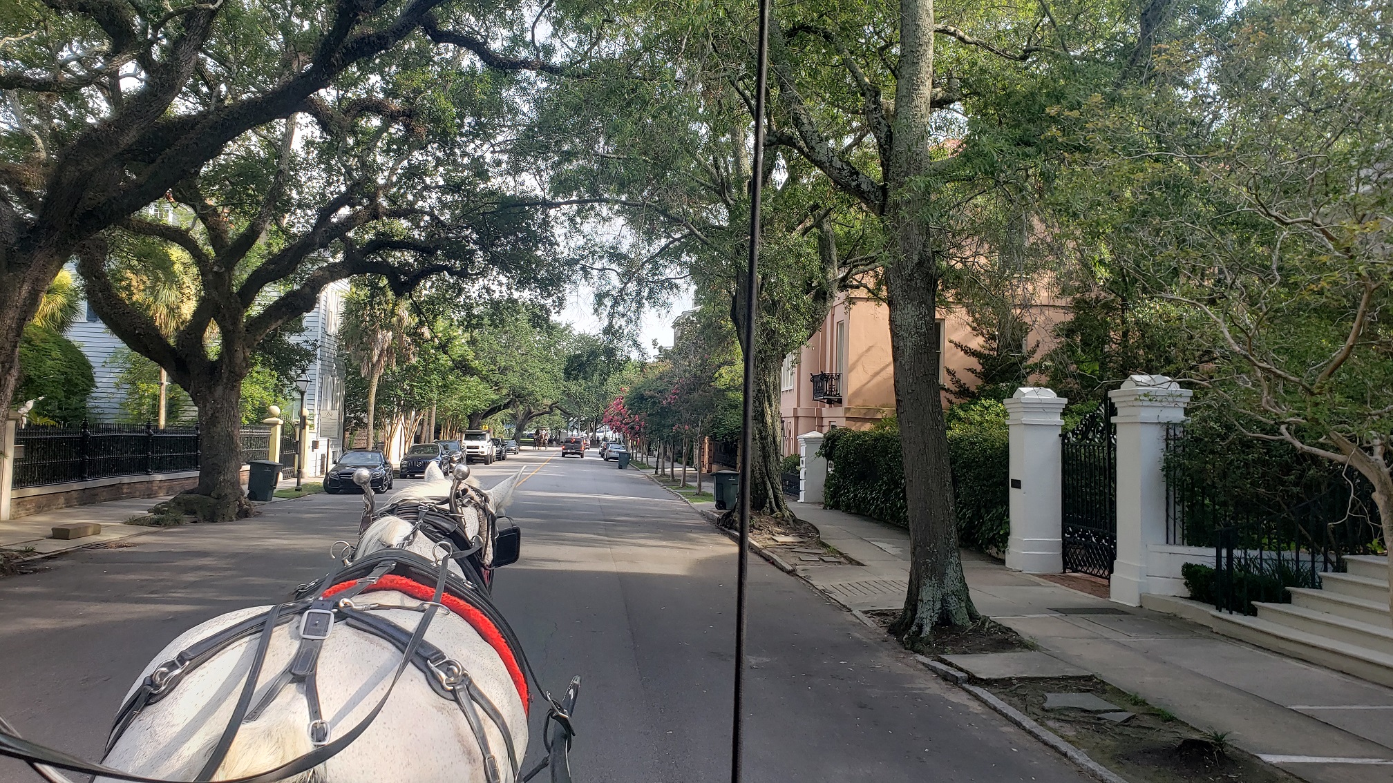 Charleston is voted #1 by Travel & Leisure Readers for 12th year in a Row!