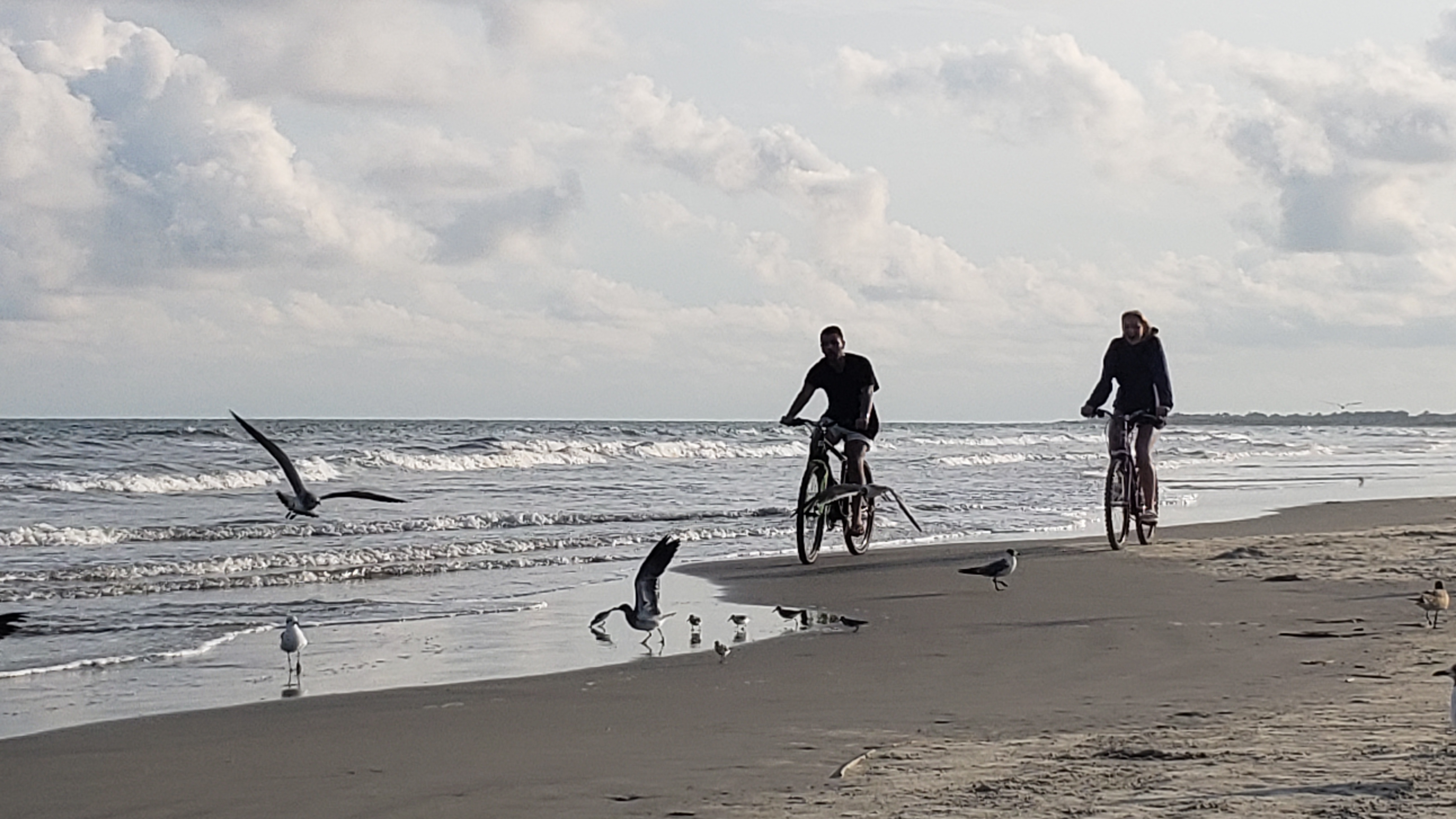 Best Cities to Retire in South Carolina