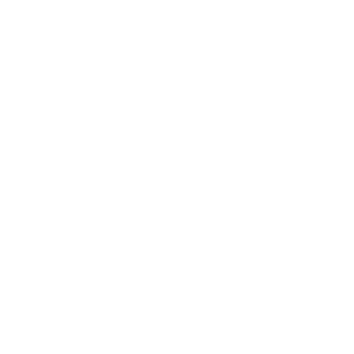 Blue Marble Group, Inc. 