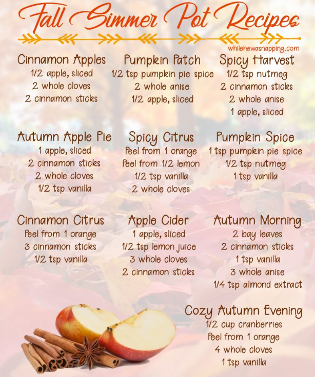 Easy Pumpkin Spice Simmer Pot Recipe for Fall - The Rooted Farmhouse