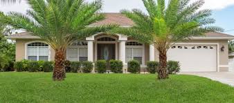 Lush and Lovely: Essential Tips for caring for Your Florida Lawn