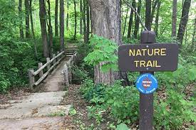 Discovering Natural Bliss: Exploring Palm Beach and Broward County's Breathtaking Nature Trails and Parks