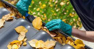 Fall Maintenance Tips for Florida Homeowners