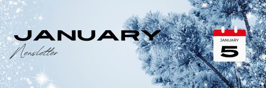January 2026 Market Outlook