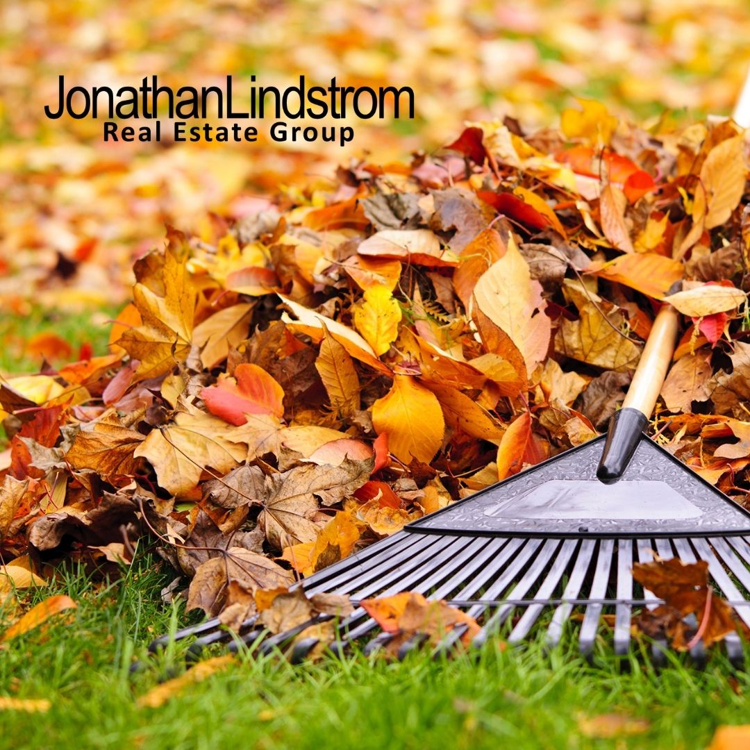 Important Yard Maintenance Projects for the Fall