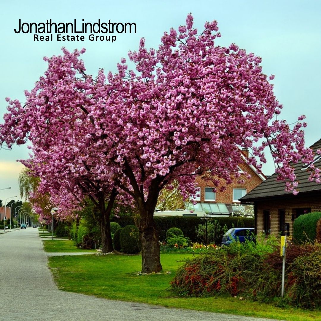 Choosing the Right Neighborhood