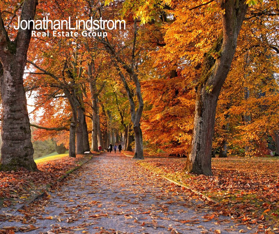 Fall Activities in the Twin Cities 