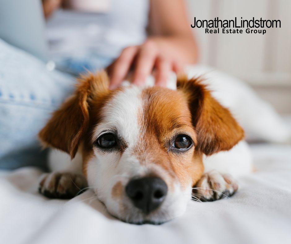 4 POINTERS FOR PET OWNERS PREPARING THEIR HOME TO SELL