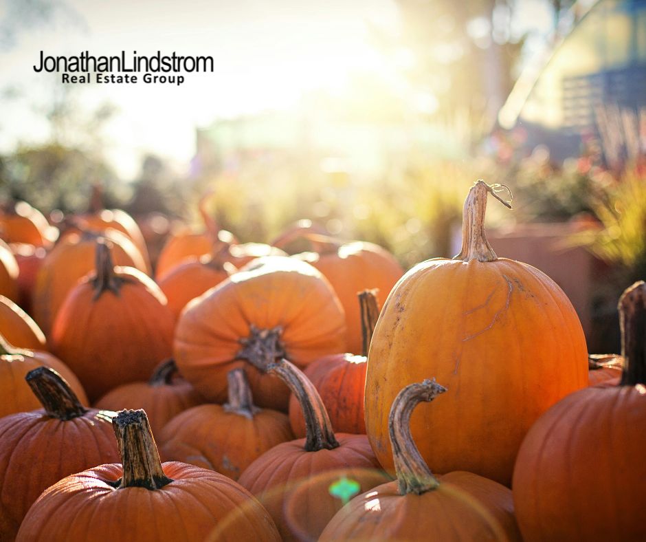 SEVER'S FALL FESTIVAL