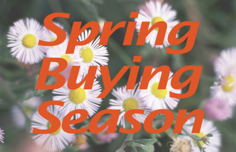 Will Spring Homebuying Season Favor Quick Decision-Makers?