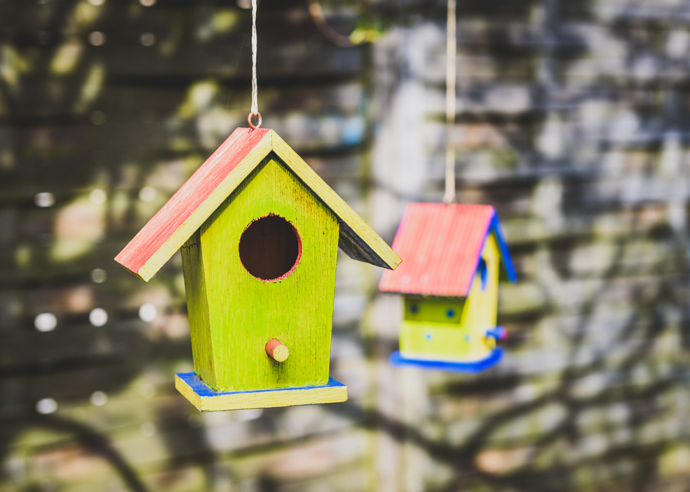 a birdhouse that is attached to a tree outdoors