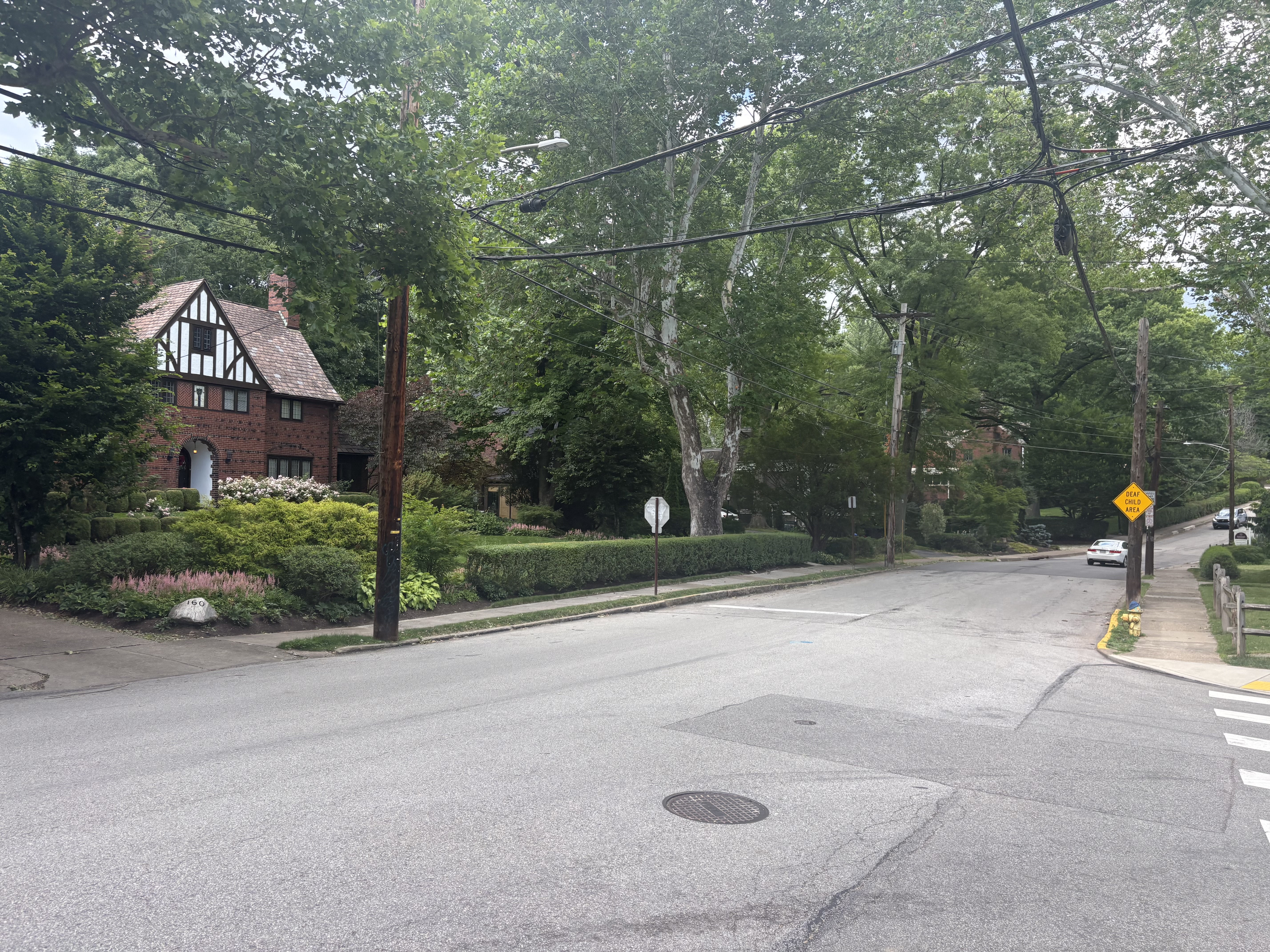 Historic residential street near Edgewood PA homes for sale