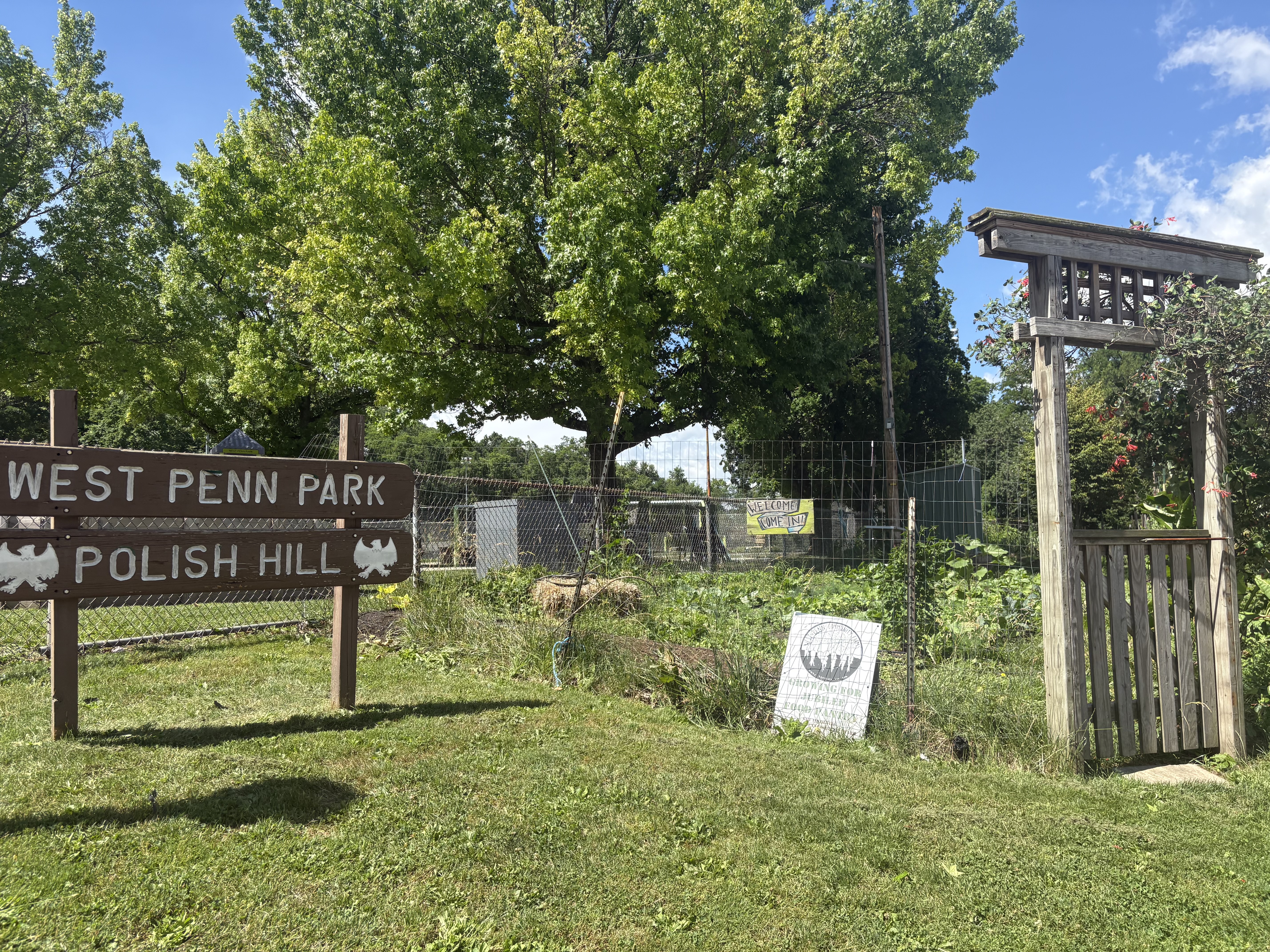 West Penn Park West Penn Park near Polish Hill Pittsburgh real estate
