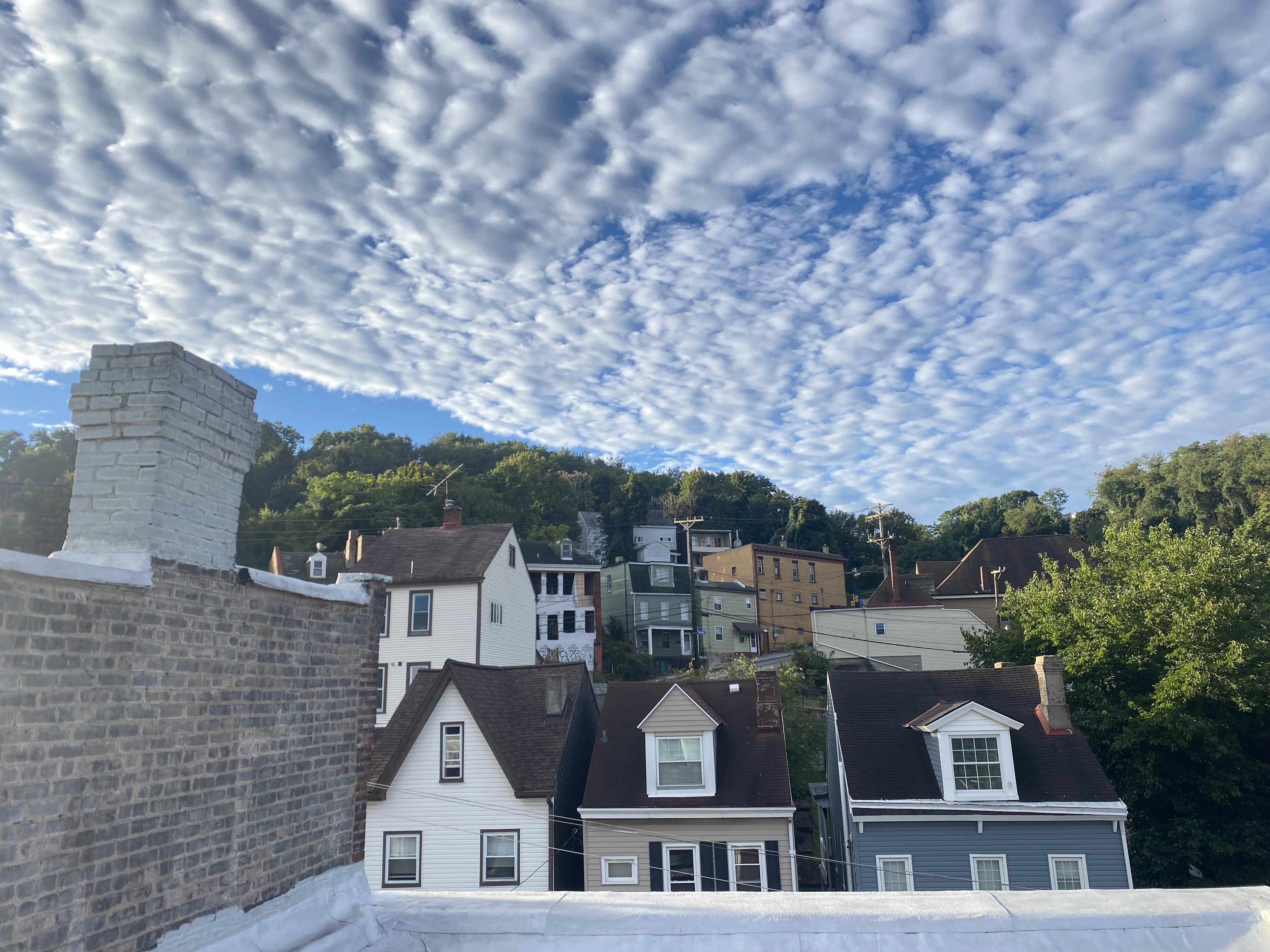 Polish Hill's steep, close-knit hillside streets. Polish Hill homes for sale on Pittsburgh hillside street