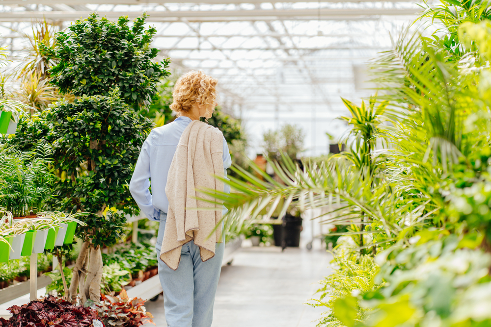 A-lady-inside-a-greenhouse A lady inside a greenhouse