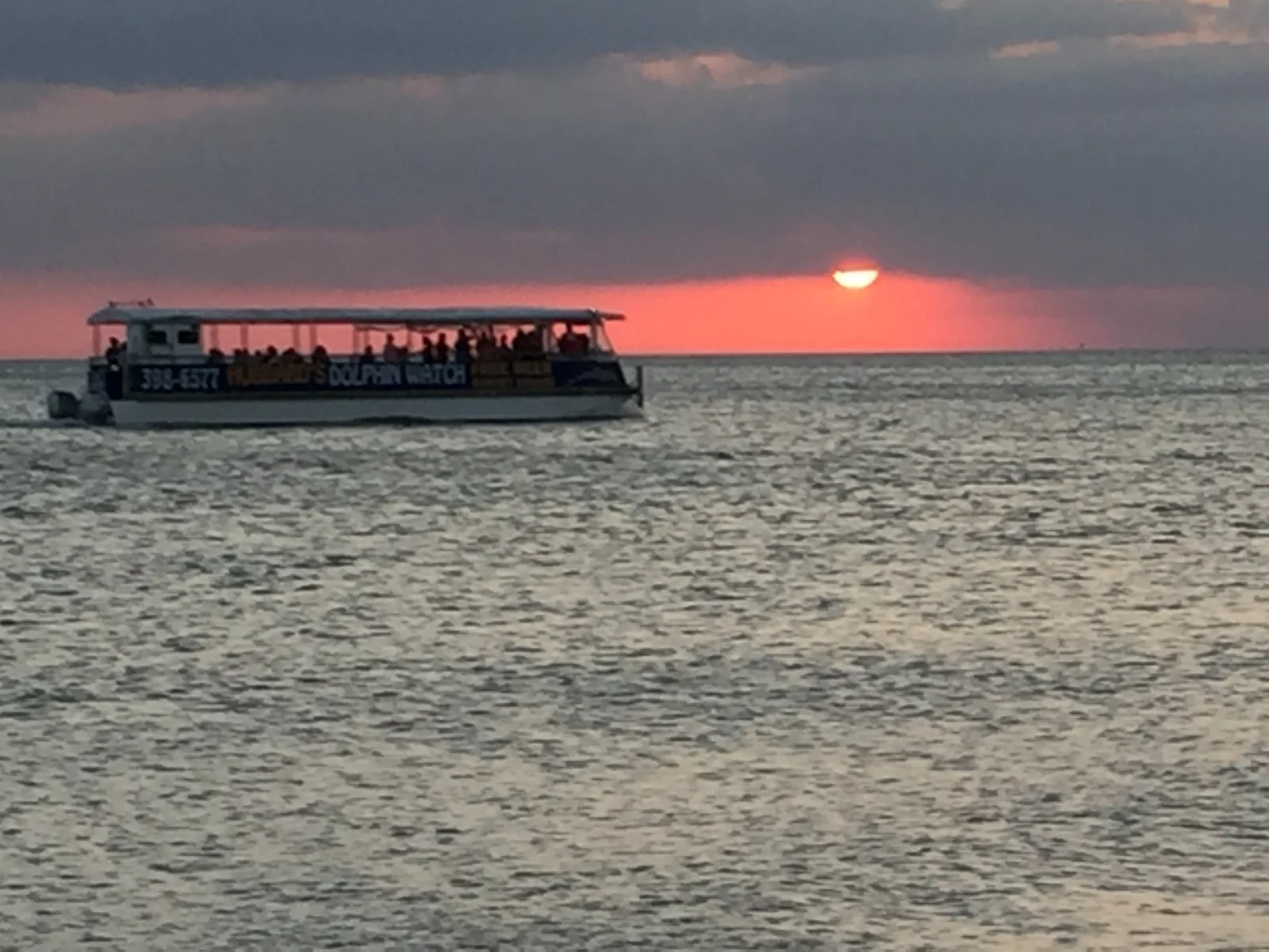 St. Pete Sunset Dolphin Cruise – Gulf Coast Views Sunset dolphin cruise boat in St. Pete, FL with passengers watching the sun set over the Gulf of Mexico